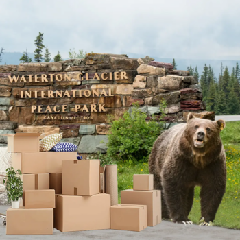 A New Grizzly HQ